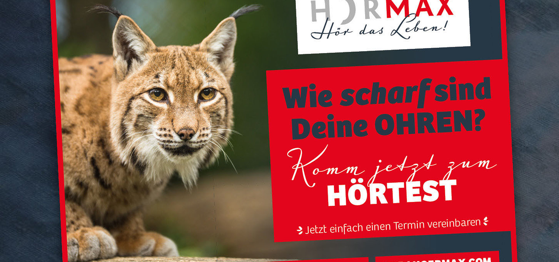 Zeitungsanzeigen: Imagekampagne für Hörmax / 2017